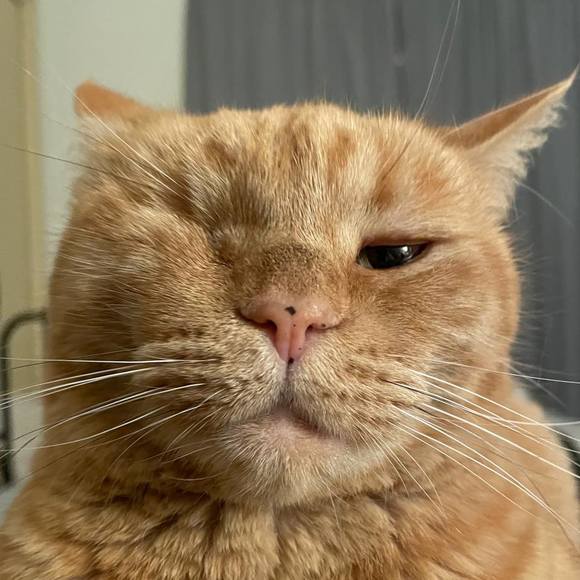 Poshmark profile picture for @semen